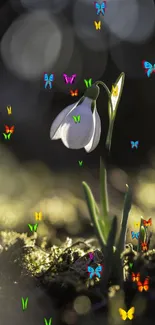 White flower surrounded by colorful butterflies on a dark, blurred background.