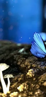 Blue butterfly on forest floor with glowing mushrooms.