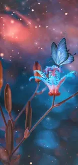 Blue butterfly on flower with glowing background, dreamy night scene.