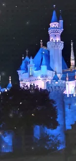 Illuminated castle with blue tones at night, creating a magical scene.