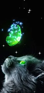 Cat gazes at glowing green butterfly on a dark background wallpaper.