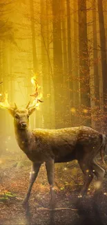 Enchanted forest with glowing deer in a mystical golden light.