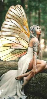 Fairy with golden wings sitting in forest, enchanting wallpaper.