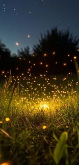 Fireflies glowing over a grassy field at night under a starry sky.