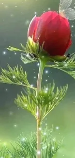 Red flower with butterfly on green background.