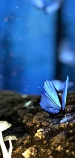 Blue butterfly on forest floor with glowing mushrooms and magical ambiance.