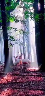 Misty forest with deer and sun rays breaking through the trees.