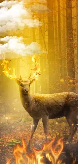 Mystical forest with deer and glowing antlers in golden light.