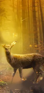 Deer in a glowing enchanted forest with golden light.