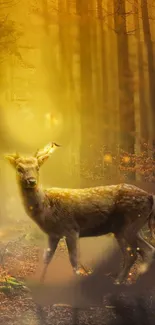 Enchanted forest wallpaper with a deer illuminated by golden light.