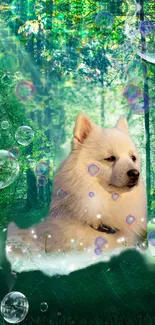 Dog in enchanted forest with bubbles and mystical light.