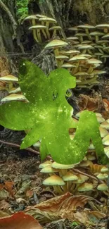 Green fairy in a lush mushroom forest scene.