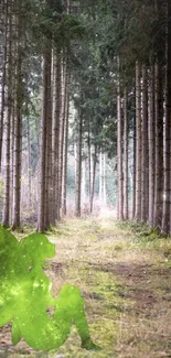 Mystical green fairy in a serene forest wallpaper.