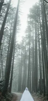 Ghostly figure in a towering forest path.