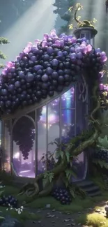 A whimsical glasshouse in a sunlit, grape-covered enchanted forest.