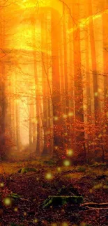 Enchanting forest wallpaper with golden lights glowing in an autumn setting.