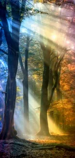 Enchanted forest with glowing light rays and vibrant colors.