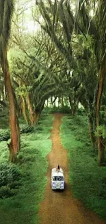 A vintage car travels down a lush forest path surrounded by towering trees.