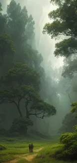 Serene forest path with towering trees and soft green hues.