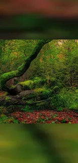 Lush green forest with vibrant foliage.