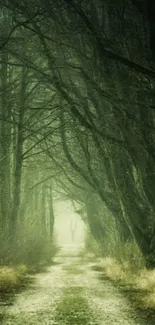 Mystical forest path mobile wallpaper with lush trees and a serene atmosphere.