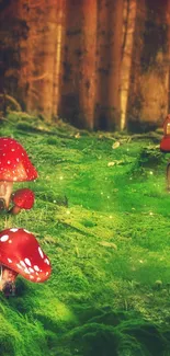 Magical enchanted forest with mushrooms and a cozy cottage.