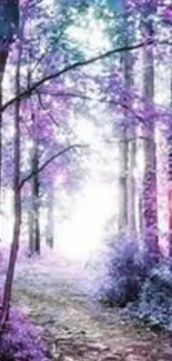 Purple forest path with sunlit trees and mystical atmosphere.