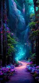 Enchanted forest with glowing path wallpaper.