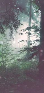 Misty forest scene with diffused light and emerald green foliage.