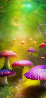 Fantasy forest with colorful mushrooms and dreamy light atmosphere.