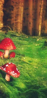 Enchanted forest with red mushrooms and moss.