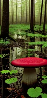 Lush green forest with a striking red mushroom.