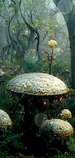 Enchanted forest with glowing mushrooms in a mystical atmosphere.