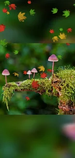 Mushrooms on mossy branch with colorful leaves in lush forest setting.