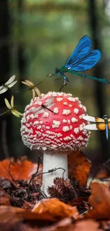 Red mushroom with dragonflies in an autumn forest scene.