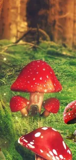 Mobile wallpaper of red mushrooms in an enchanting forest.