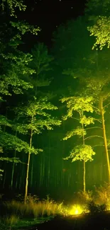 Glowing green forest at night with illuminated trees.