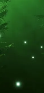 Dark green forest with glowing lights and serene ambiance at night.