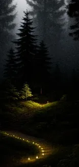 A dimly lit forest path at night with subtle green hues.