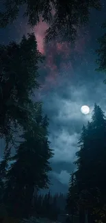 Dark forest with moonlit starry sky wallpaper.