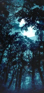 Moonlit forest with dark silhouettes under a midnight blue sky.