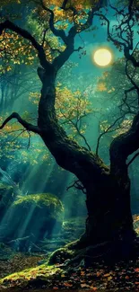 Mystical forest under the moonlight with dramatic tree silhouette.