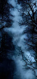 Enchanted night forest with silhouetted trees against a dark blue sky.