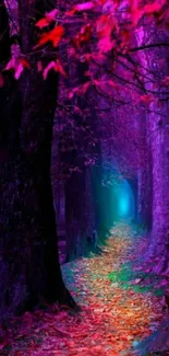 Enchanted forest path with vibrant colors.