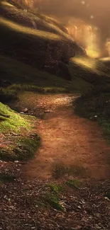 Enchanted forest path with sunlight and earthy tones.