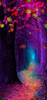 Enchanted forest path with purple glow and colorful leaves.