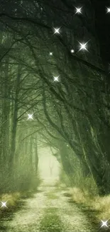 Enchanted forest path with starry sky.