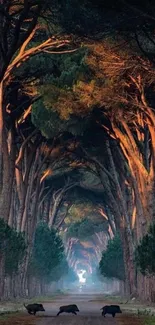 Sunlit forest pathway with wildlife crossing road.