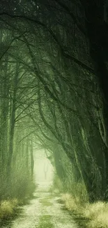 Enchanting forest pathway mobile wallpaper with serene green hues.