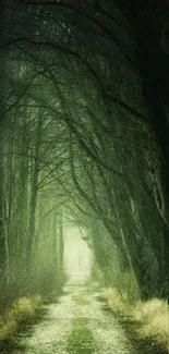 A mystical forest pathway with dark trees and green lighting.